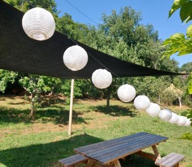 Combret Other | Glamping Luz Olive