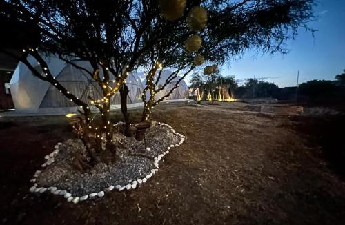 Centro Other | Glamping