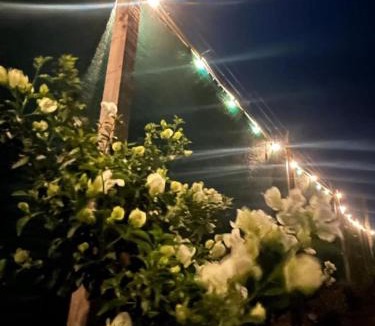Texcoco de Mora Other | Glamping Rincón de Lavanda