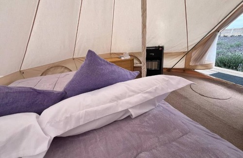Texcoco de Mora Other | Glamping Rincón de Lavanda