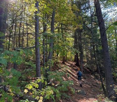 Algoma District Other | Glamping Tent