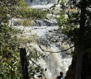 Algoma District Other | Glamping Tent