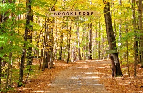 Middle Grove RV Rental | Glamping Tent/ electricity/ on stream