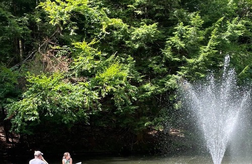 Middle Grove RV Rental | Glamping Tent/ electricity/ on stream