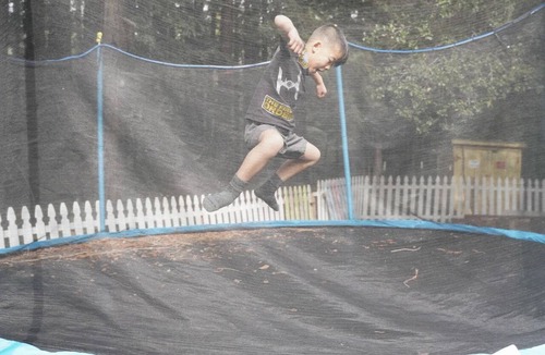 La Selva Beach House | Glamping Tipi in the Redwood Forest