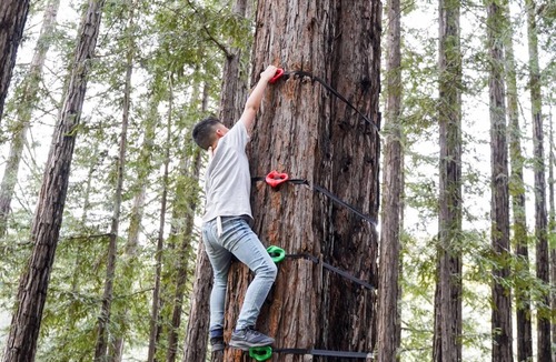 La Selva Beach House | Glamping Tipi in the Redwood Forest