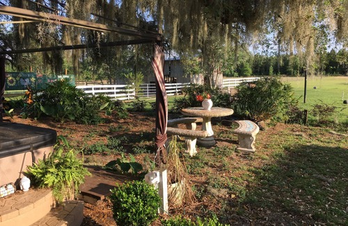 Live Oak Other | Glamping Treehouse on Farm, Unique Experience!