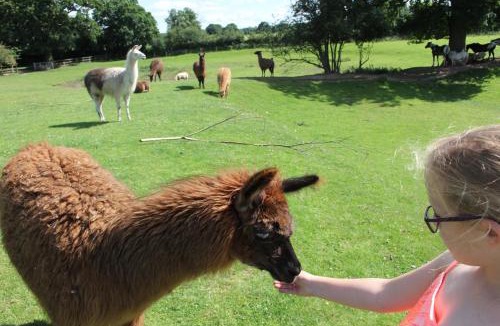 Stourbridge Other | Glamping West Midlands