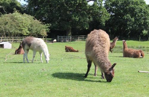 Stourbridge Other | Glamping West Midlands