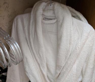 Wisbech House | Glamping with Llamas