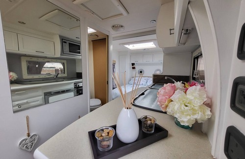 Wisbech Other | Glamping With Llamas