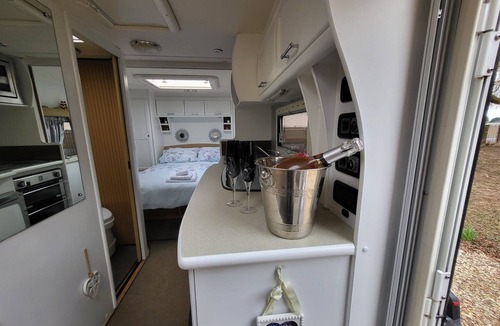 Wisbech Other | Glamping With Llamas