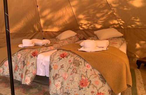 Vissenbjerg Other | Glamping with outdoor wood-fired hot tub