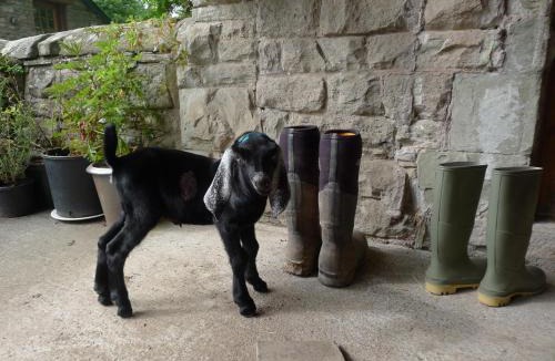 Westbrook Court Apartment | Glanwye