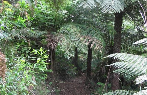 Glenaire House | Glenaire Cottages