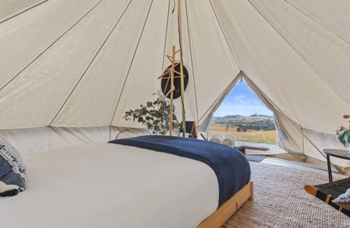 Windeyer Other | Glenayr Farm - Champagne