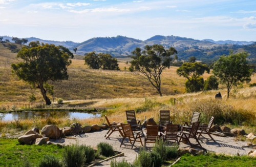 Windeyer Other | Glenayr Farm - Champagne