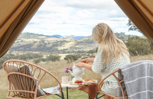 Windeyer Other | Glenayr Farm - Pinot