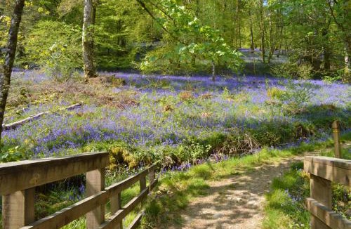 Cairndow House | Glenbranter Cottage