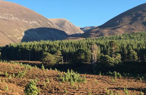 Kingussie House | Glenfeshie Hostel