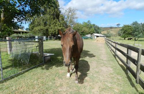 Yarck House | Glenfield Cottage