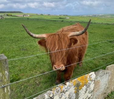 Thurso Apartment | Glengolly Getaways