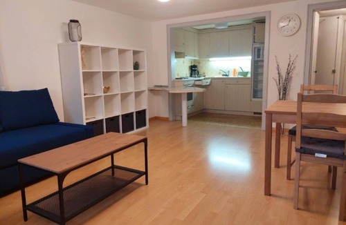 St. Gallen Apartment | Global Citizen 7