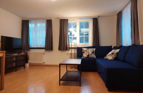 St. Gallen Apartment | Global Citizen 7