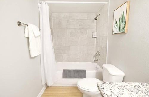 Old East Dallas Apartment | Global Cup The Alcove Dallas Near Downtown Fun Nightlife