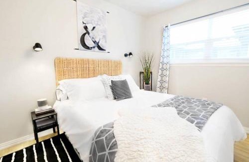 Old East Dallas Apartment | Global Cup The Alcove Dallas Near Downtown Fun Nightlife