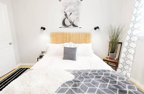 Old East Dallas Apartment | Global Cup The Alcove Dallas Near Downtown Fun Nightlife