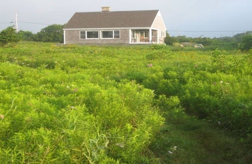 Little Compton House | Glorious Oceanfront Retreat