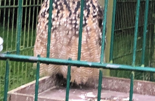 Padfield Apartment | Glossop countryside flat