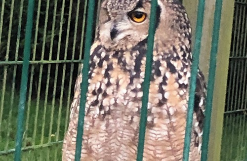 Padfield Apartment | Glossop countryside flat