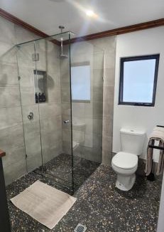 Seddon House | Glossy Black Cabin