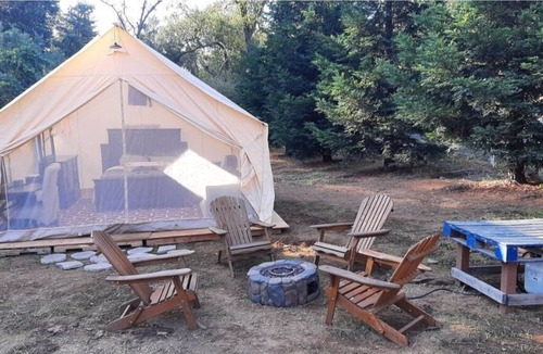 Auburn RV Rental | Glow in the dark Pickleball and Glamping in 16x14 canvas tent with Queen setup