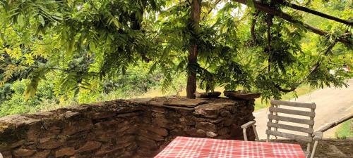 Chambon House | Glycines et jasmins