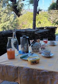 Chambon House | Glycines et jasmins