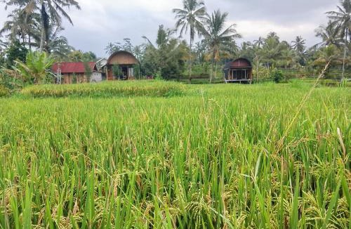 Tetebatu House | Go Green Bungalows Tetebatu