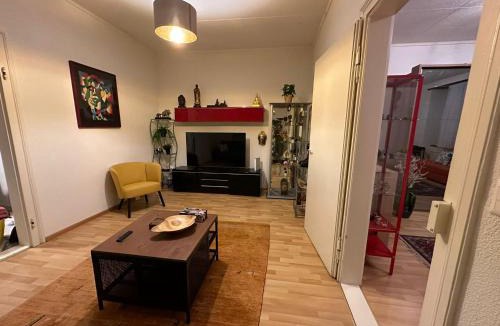 Dornach Apartment | Goetheanum Casa