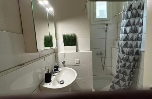 Dornach Apartment | Goetheanum Casa