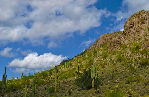 Gold Canyon Resort | Gold Canyon Golf Resort
