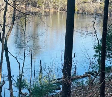 Georgetown House | Golden Hill Oasis