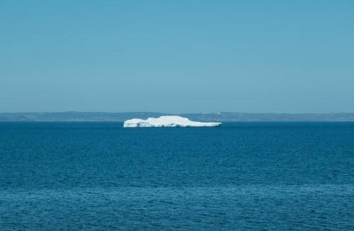Conception Bay South House | Golden Tide Cottage - 2 Bed 1 Bath - Panoramic Ocean Views