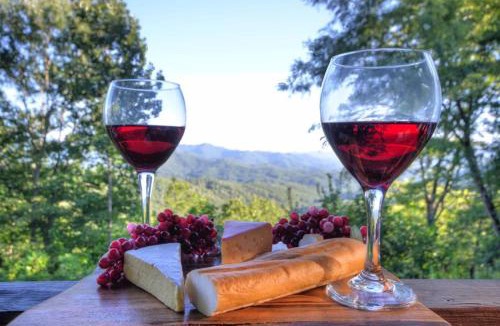 Bryson City House | Goldies Hideaway