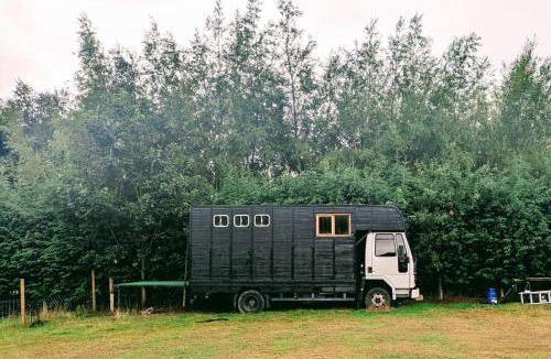 Thakeham Other | Goldilocks Heaven