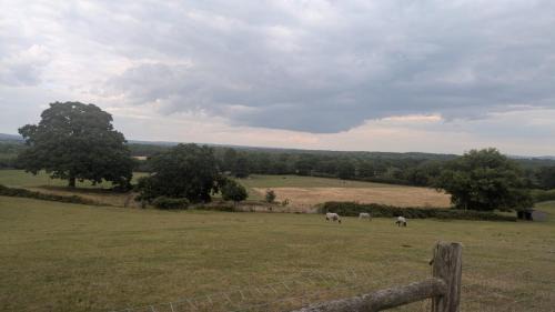 Thakeham Other | Goldilocks Heaven