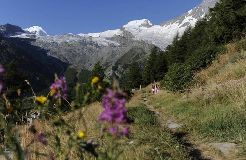 Saas-Fee Apartment | Golf 771.1