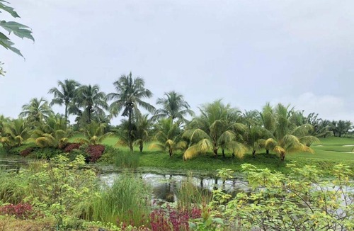 Gelang Patah House | Golf Dan Resort Forest City