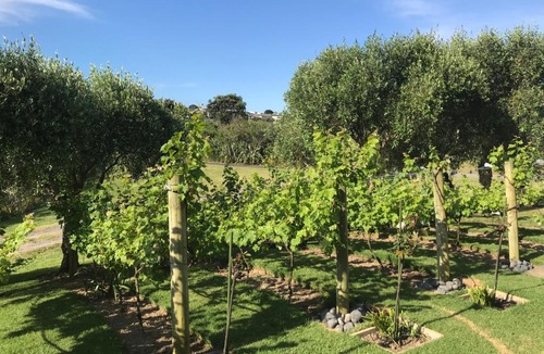 Gulf Harbour Apartment | Golf@Gulf